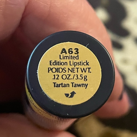 New Estée Lauder lipstick limited edition such a fall color - Picture 4 of 5